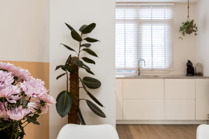 Foto 17 van Graaf Ottostraat 20