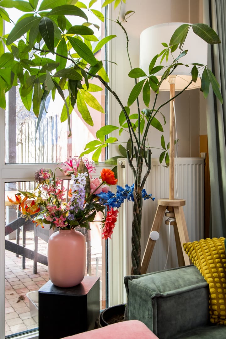 Foto 19 van Graaf Ottostraat 20