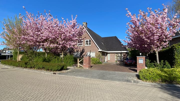 Foto 31 van Marquette 85