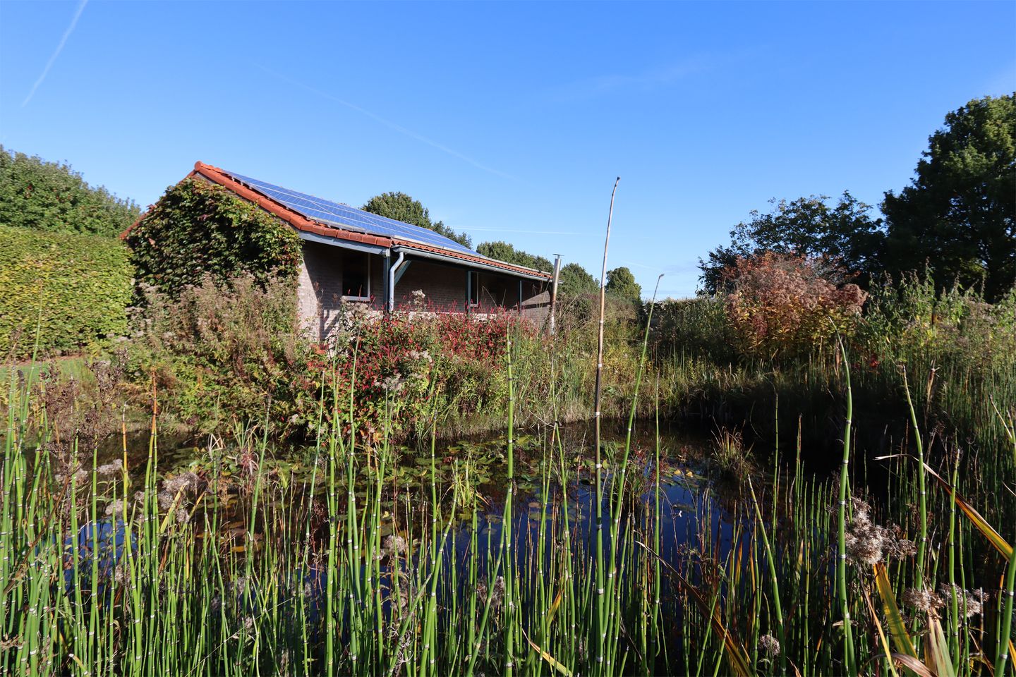 Photo 14 of Plakseweg 29