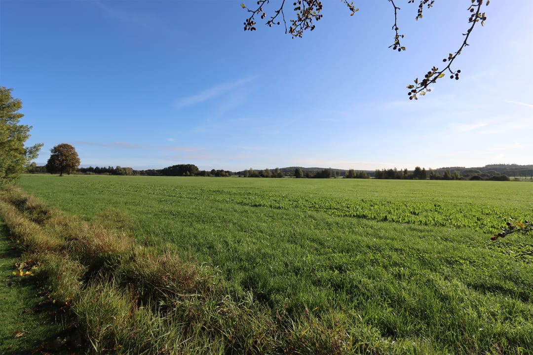 Photo 17 of Plakseweg 29