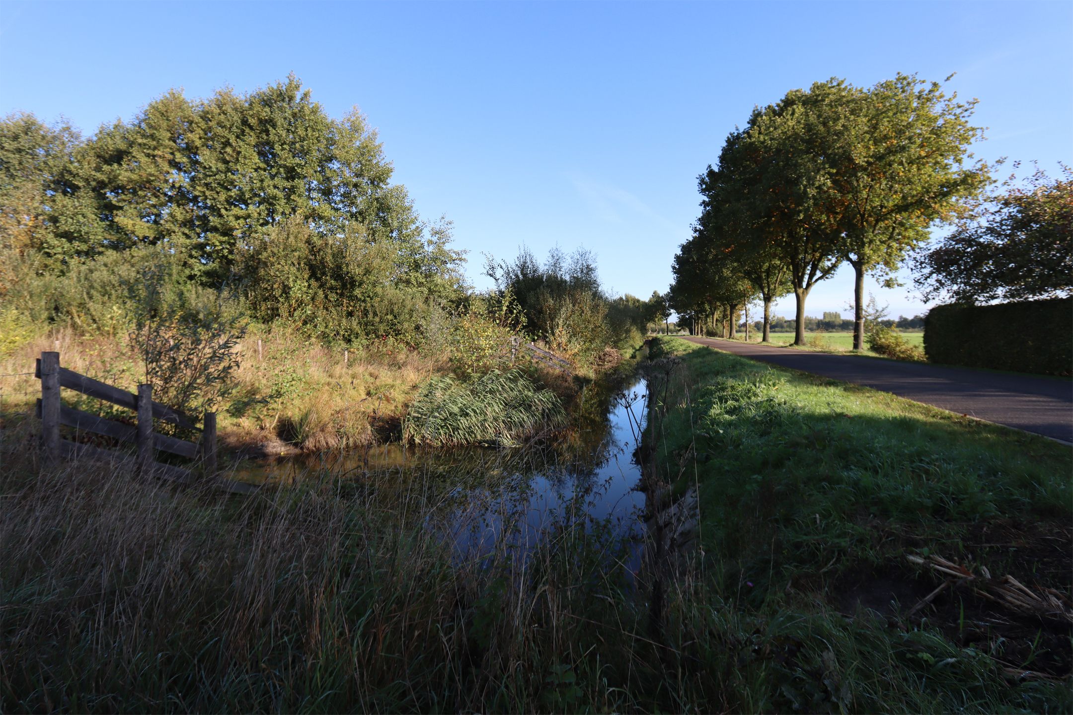 Photo 18 of Plakseweg 29