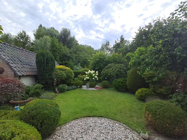 Foto 53 van Rijn en Schiekade 97-B