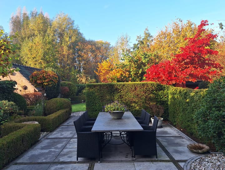 Foto 62 van Rijn en Schiekade 97-B