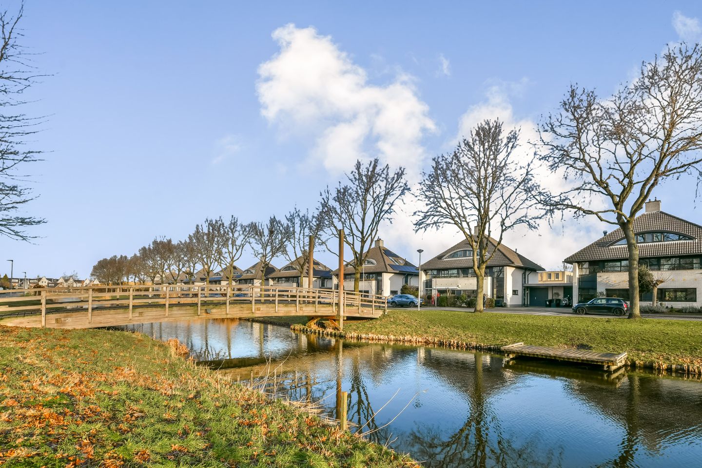 Foto 4 van Koningsvaren 30