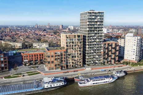 Euryzakade thumbnail