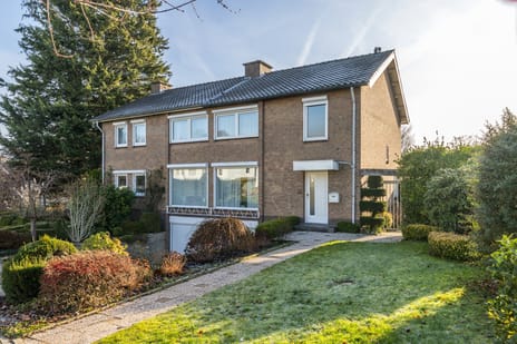 undefined main image