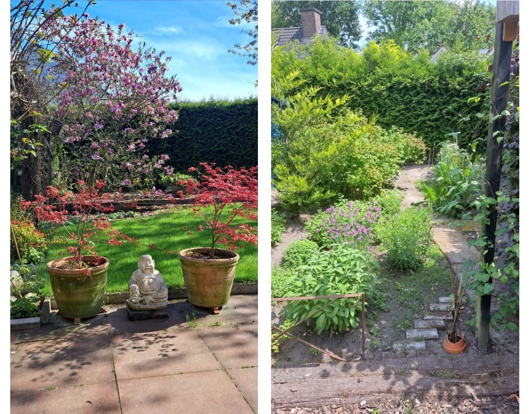 Foto 81 van Het Hoge Holt 8