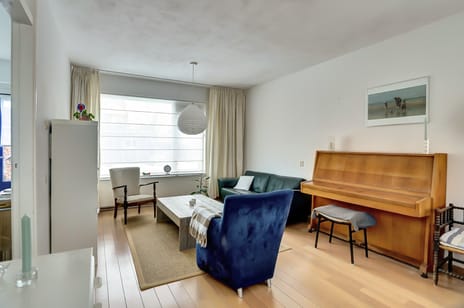 Malvert 3039 tertiary image