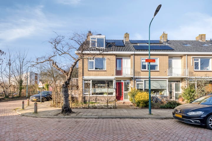 Foto 7 van Pieter de Hoochlaan 1