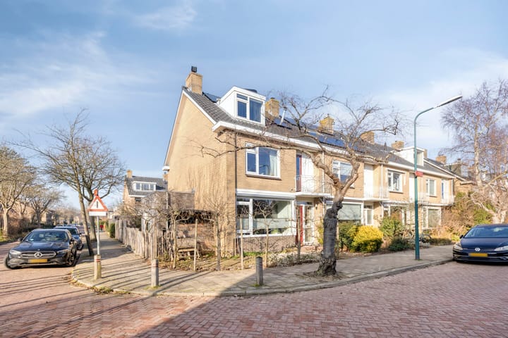 Foto 8 van Pieter de Hoochlaan 1