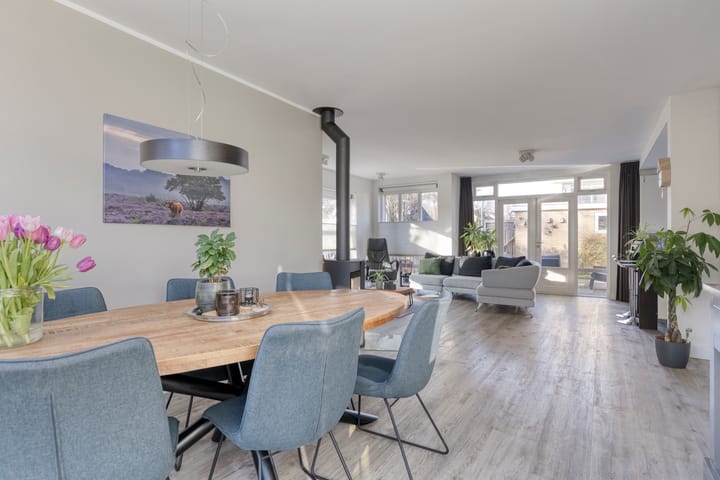 Foto 13 van Pieter de Hoochlaan 1