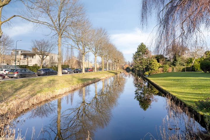 Foto 46 van Pieter de Hoochlaan 1