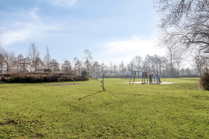 Foto 48 van Pieter de Hoochlaan 1