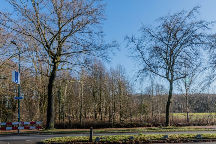 Foto 34 van Looydijk 5