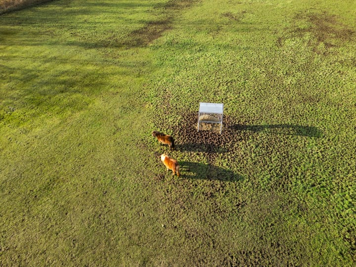 Foto 74 van Damweg 73