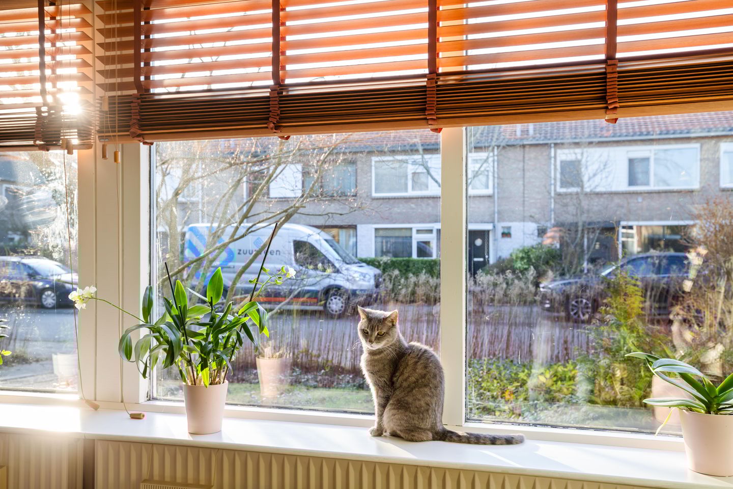 Foto 10 van Neptunusstraat 29