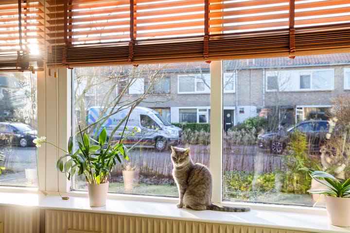 Foto 10 van Neptunusstraat 29