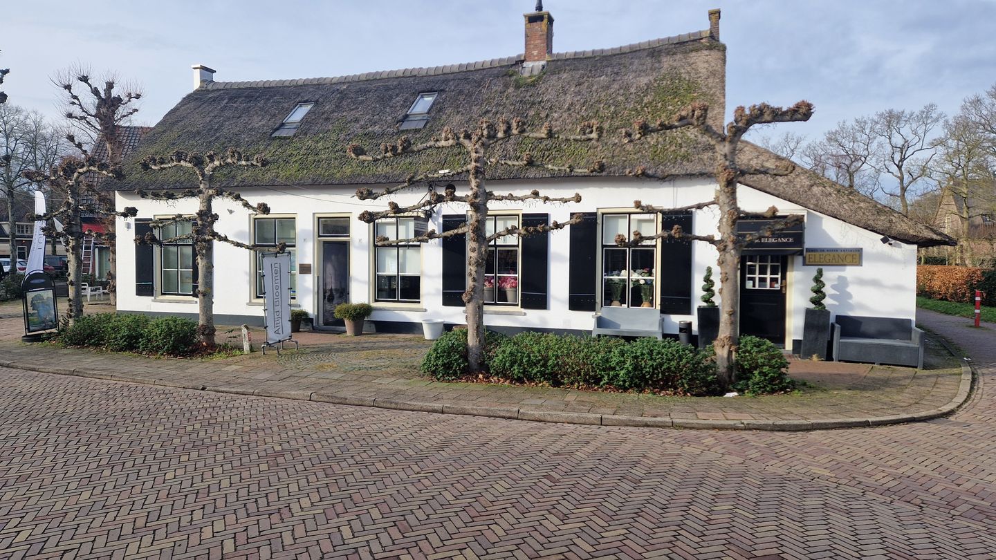 Bekijk foto 5 van Dorpsstraat 9-d