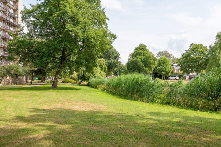 Foto 28 van Schubertplein 8