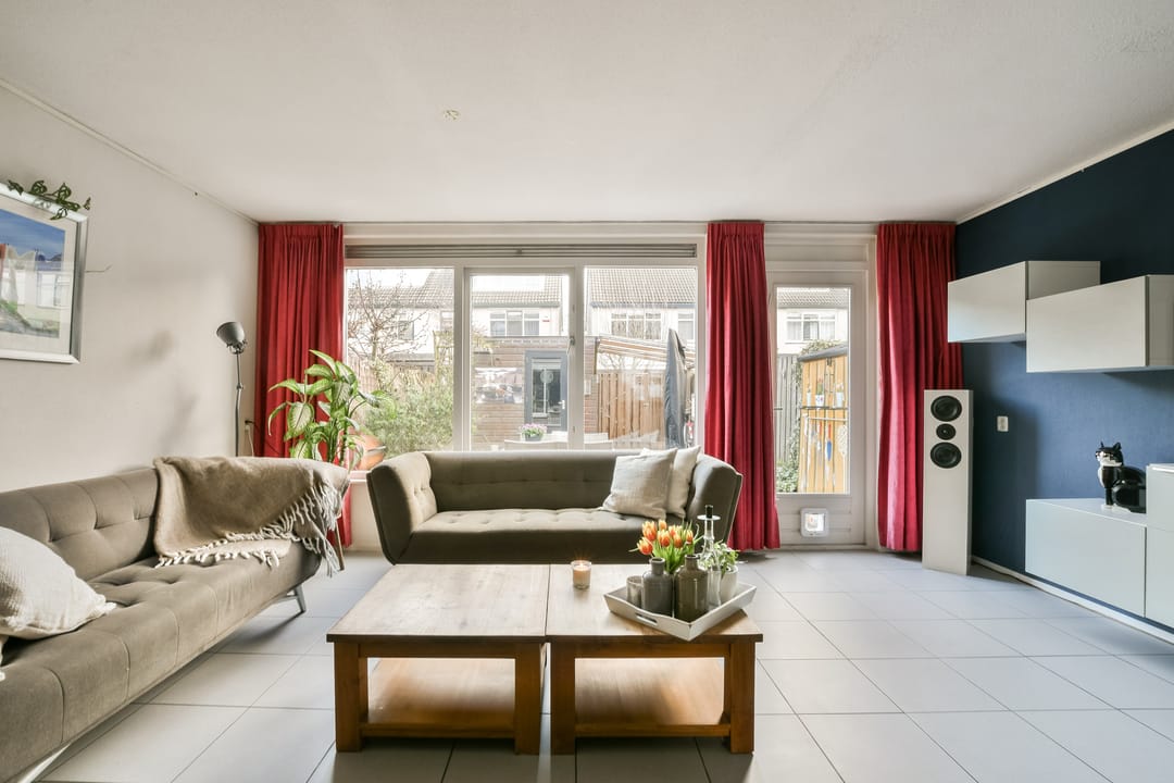 Foto 2 van Kuifvlinder 12