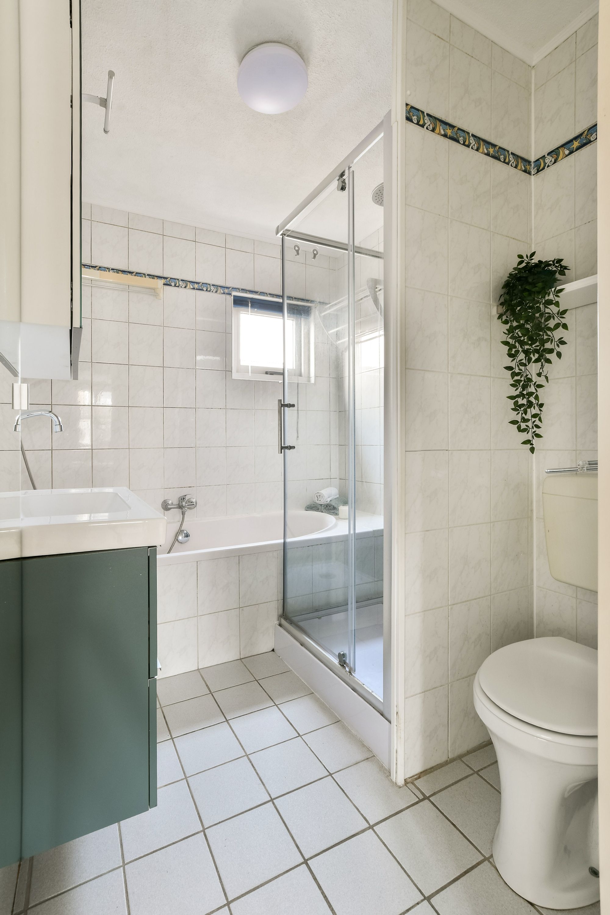 Foto 12 van Kuifvlinder 12