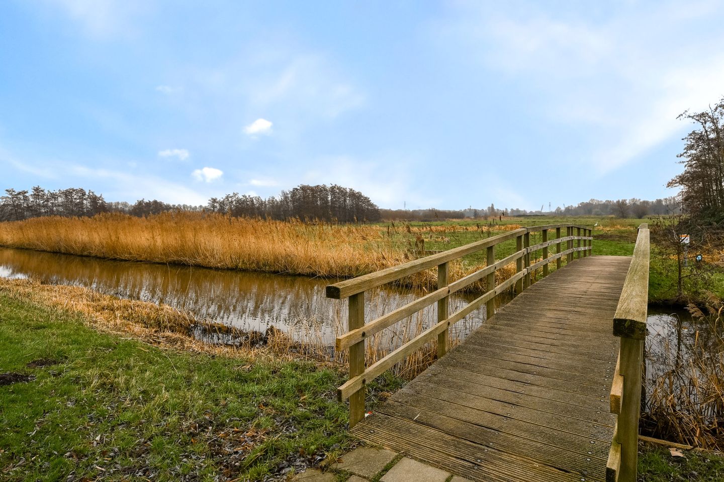 Foto 19 van Kuifvlinder 12