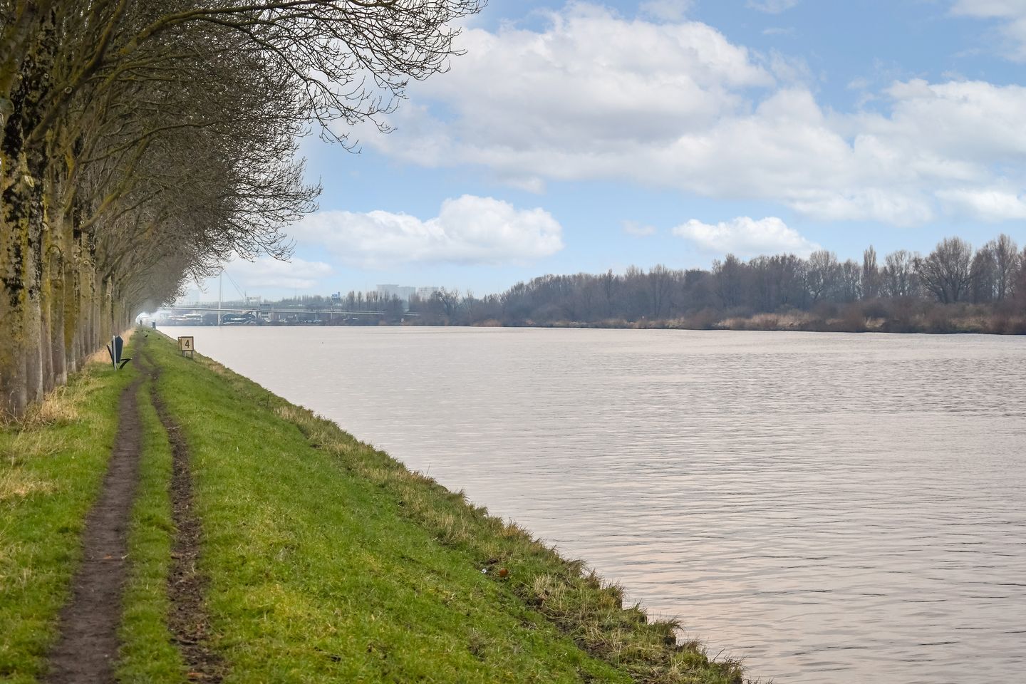 Foto 20 van Kuifvlinder 12