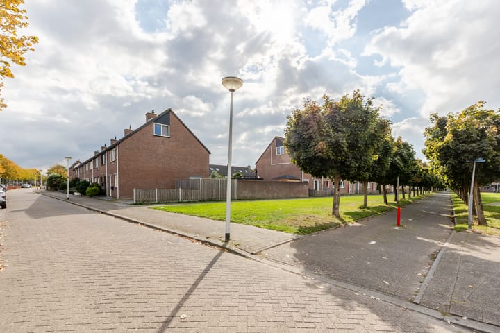 Foto 5 van Vuurvlinder 28