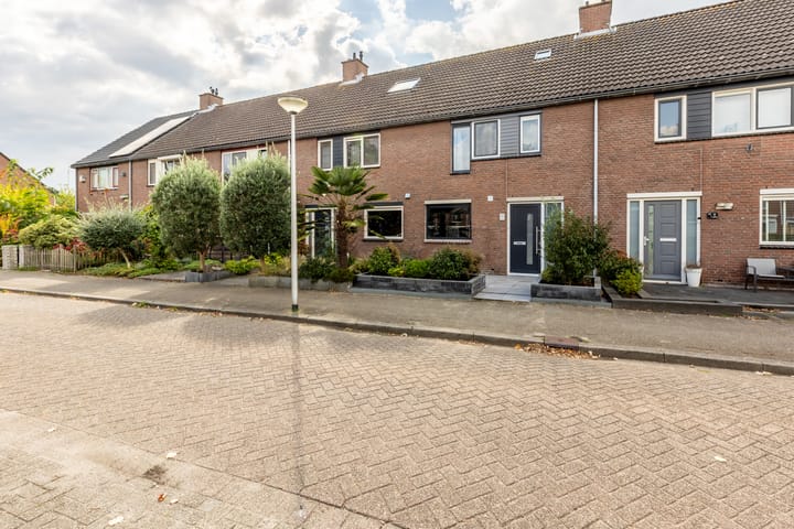 Foto 6 van Vuurvlinder 28