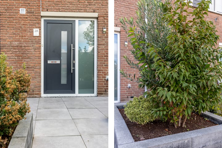 Foto 8 van Vuurvlinder 28