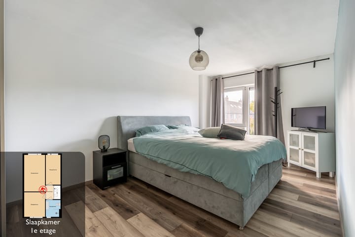 Foto 22 van Vuurvlinder 28