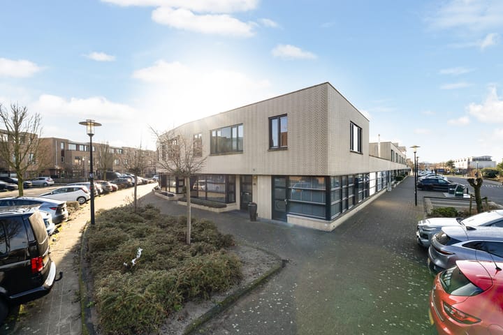 Slangekruid 145 main image