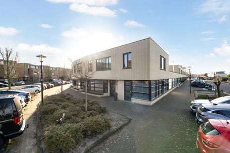 Slangekruid thumbnail