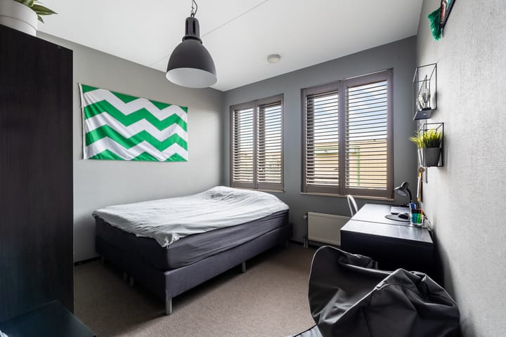 Foto 33 van Slangekruid 145