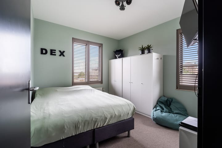 Foto 38 van Slangekruid 145