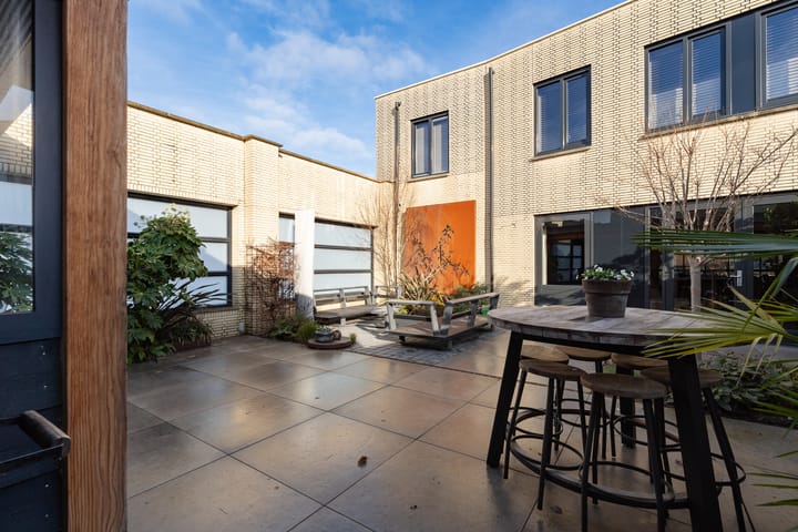 Foto 52 van Slangekruid 145