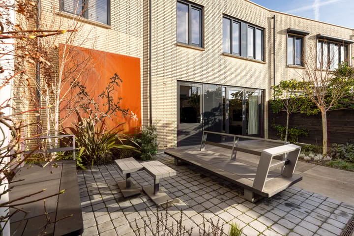 Foto 55 van Slangekruid 145