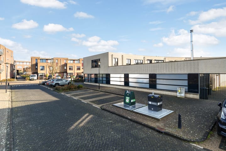 Foto 62 van Slangekruid 145