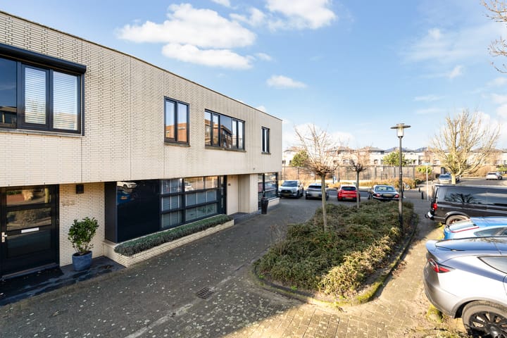 Foto 64 van Slangekruid 145