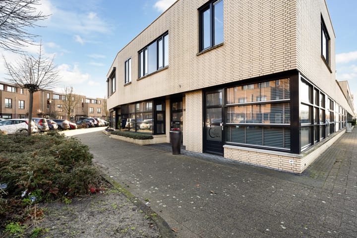 Foto 65 van Slangekruid 145