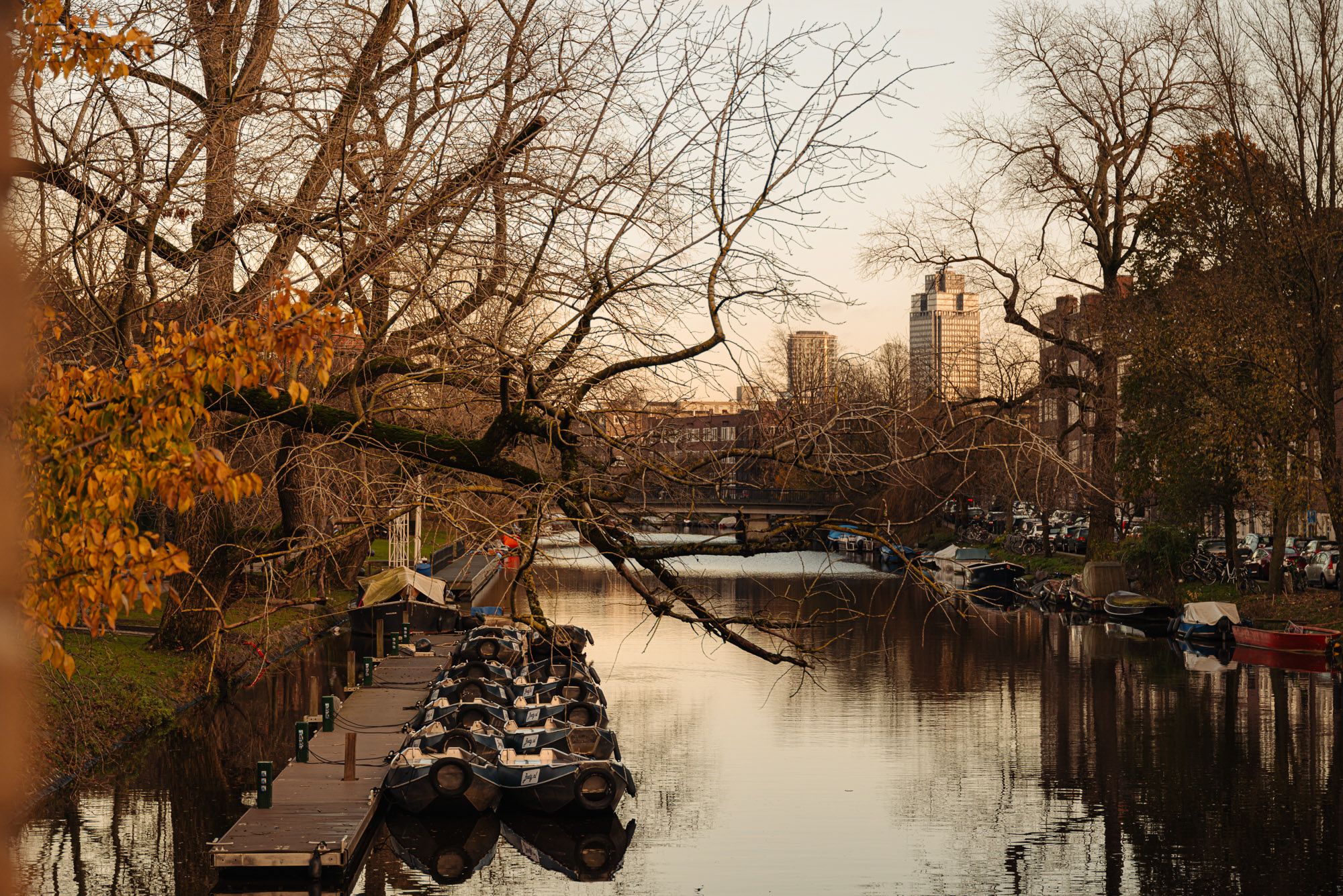 Foto 36 van Churchill-laan 210