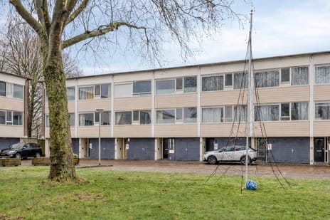 undefined main image