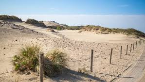 Foto 53 van Doris Lessinglaan 126