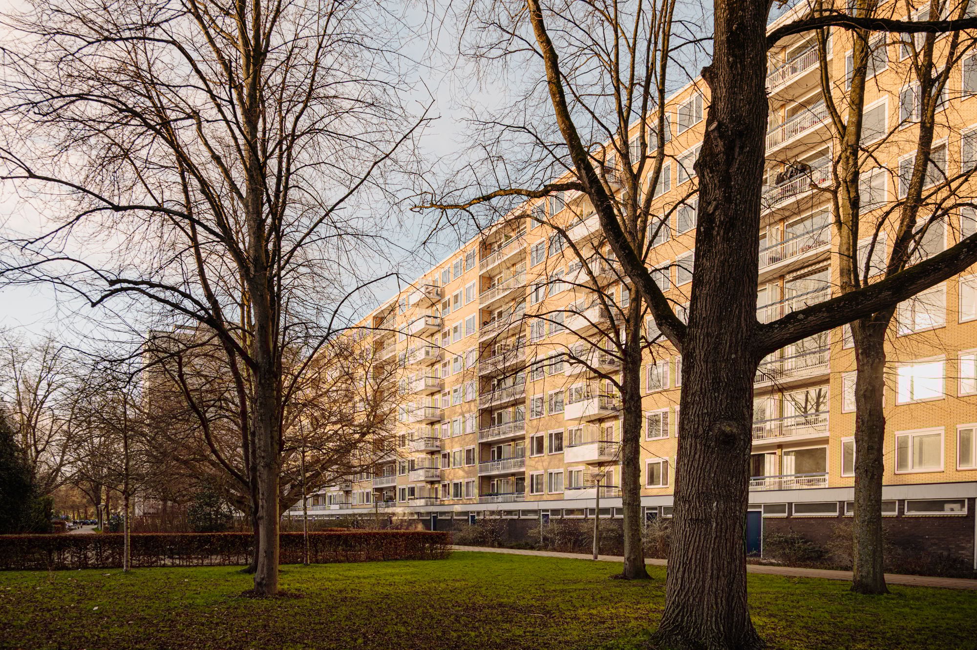 Foto 6 van Van Nijenrodeweg 80