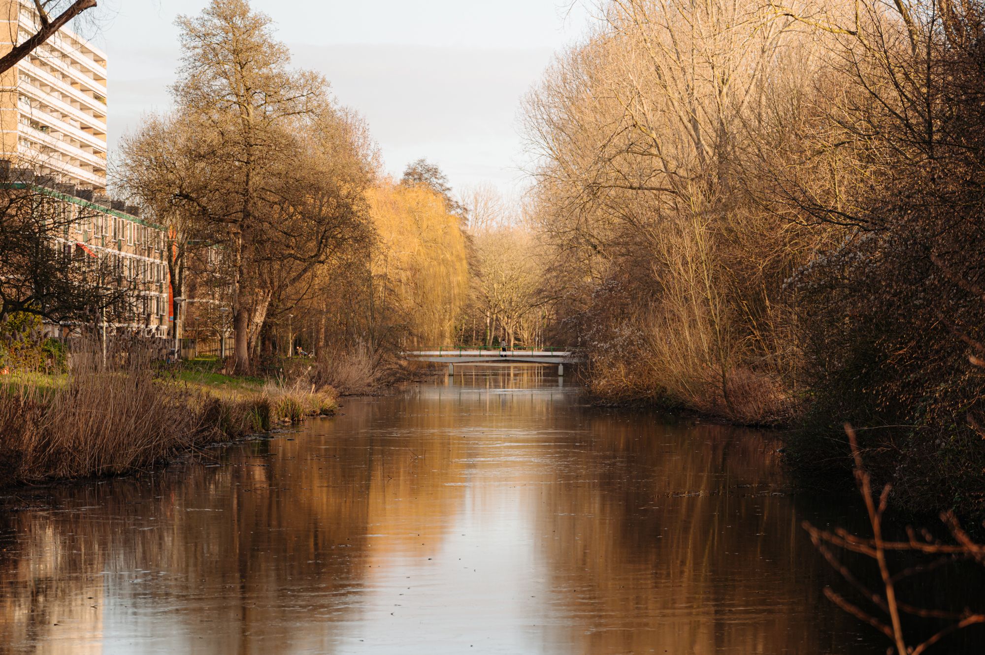 Foto 24 van Van Nijenrodeweg 80