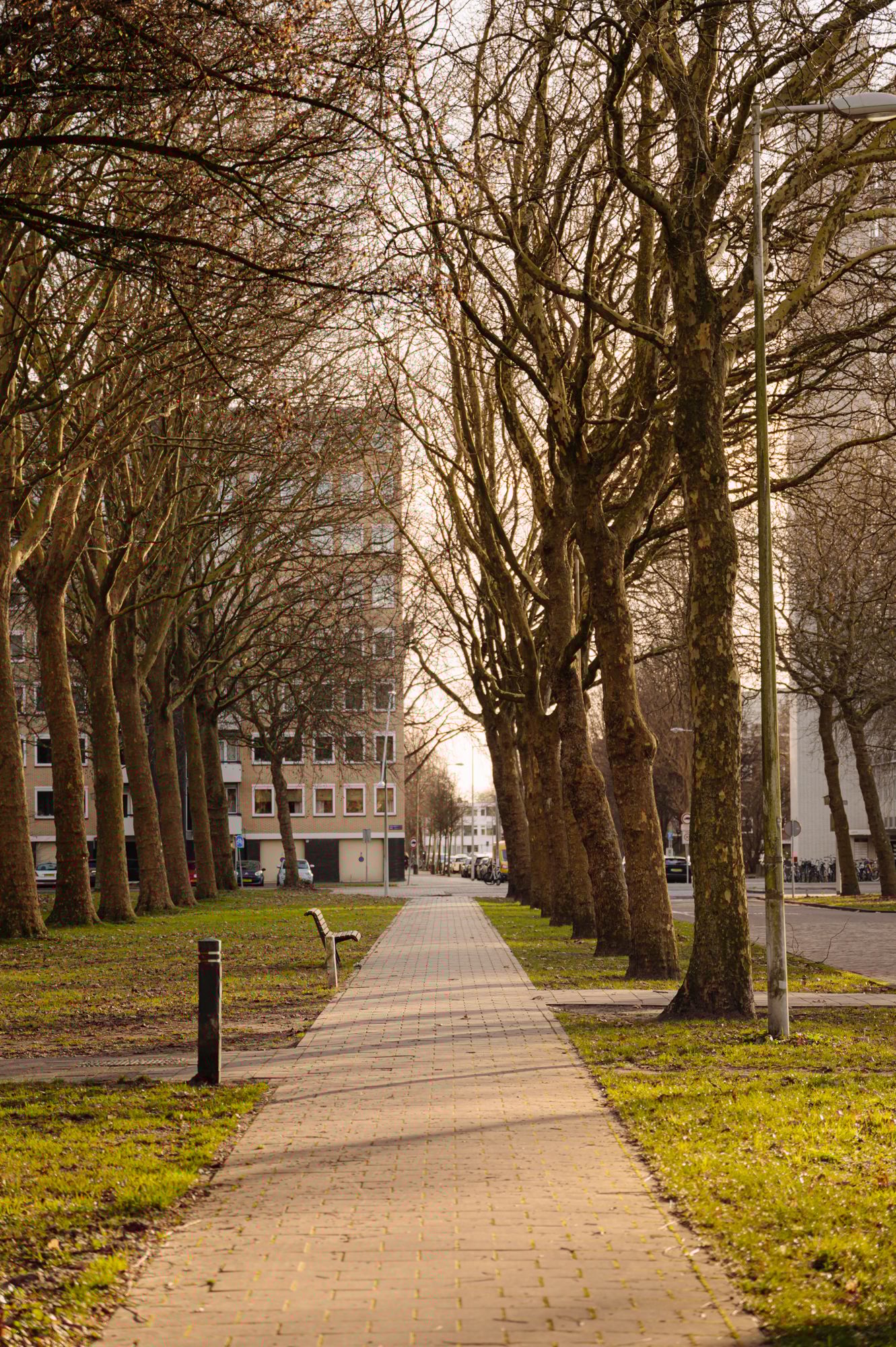 Foto 25 van Van Nijenrodeweg 80