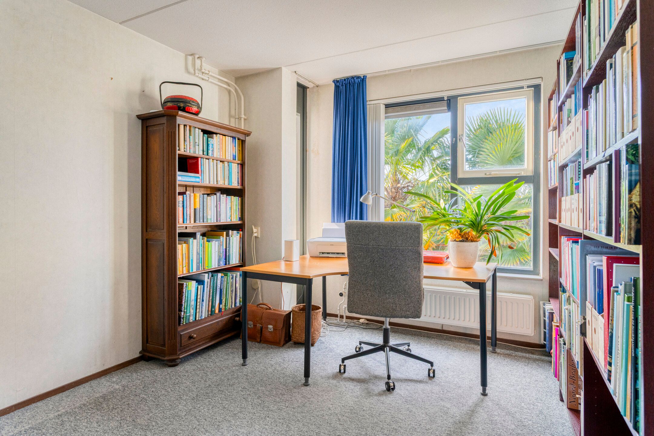 Foto 24 van Klimopberg 137