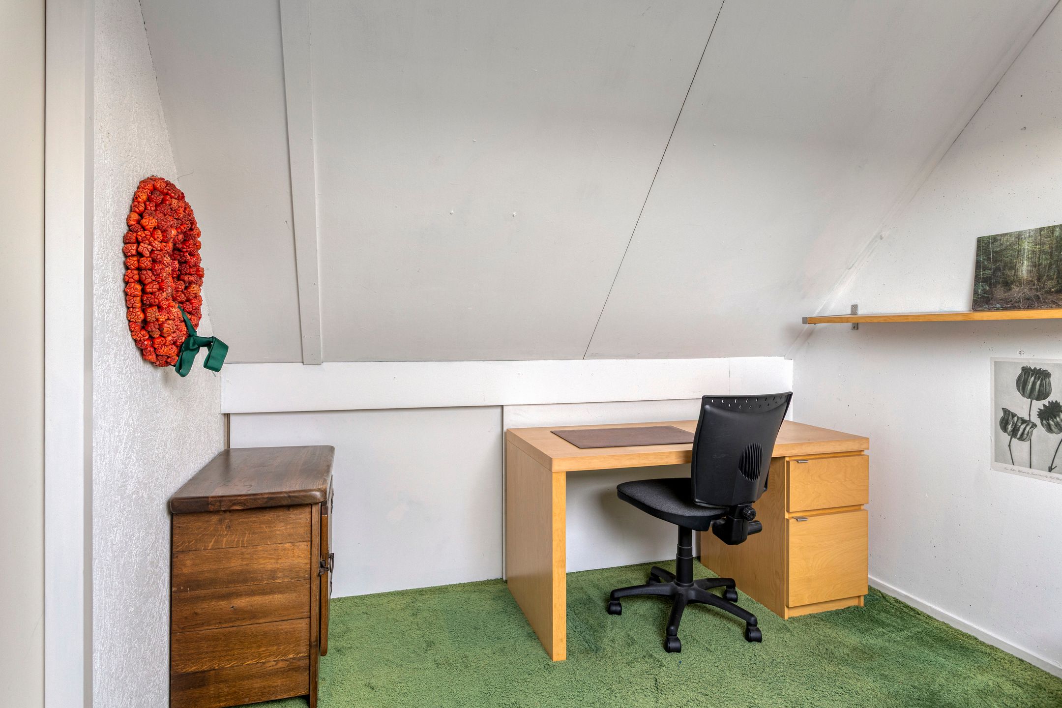 Foto 30 van Klimopberg 137