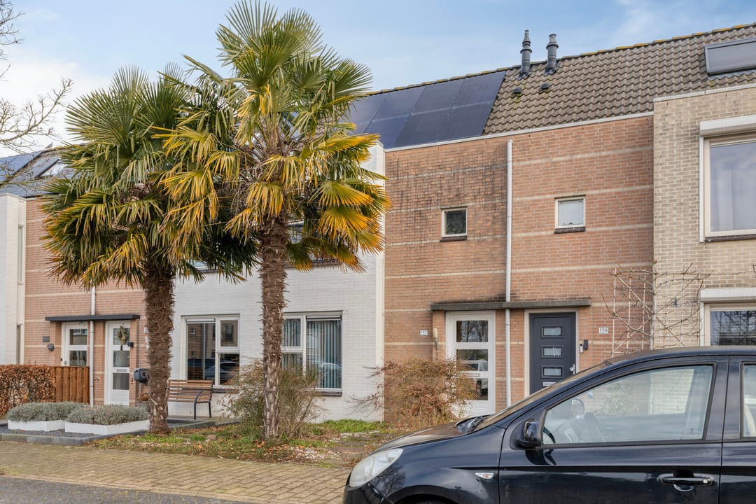 Foto 38 van Klimopberg 137